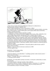 Savarankiškas darbas tema ,,Lietuvos nepriklausomybės atkūrimas“ 2 puslapis