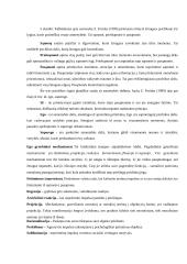 Psichodinaminė teorija (pristatymas) 3 puslapis