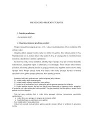 Vaikų globos įstaigos projektas: "Suvienykime širdis" 2 puslapis