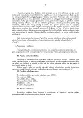 Vaikų globos įstaigos projektas: "Suvienykime širdis" 5 puslapis