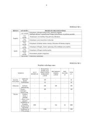 Vaikų globos įstaigos projektas: "Suvienykime širdis" 7 puslapis