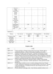 Vaikų globos įstaigos projektas: "Suvienykime širdis" 8 puslapis