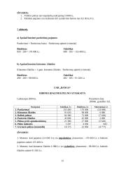 Valdymo apskaita UAB "Banga" 12 puslapis