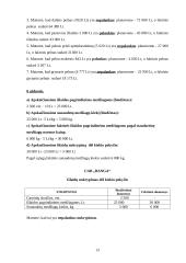 Valdymo apskaita UAB "Banga" 13 puslapis