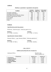 Valdymo apskaita UAB "Banga" 10 puslapis