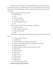 Valdymo apskaitos sistemos ir jų skiriamieji bruožai 2 puslapis