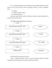 Valdymo apskaitos sistemos ir jų skiriamieji bruožai 3 puslapis