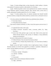 Valdymo apskaitos sistemos ir jų skiriamieji bruožai 4 puslapis