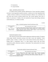 Valdymo apskaitos sistemos ir jų skiriamieji bruožai 5 puslapis