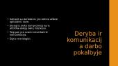 Komunikacija ir derybos (skaidrės) 12 puslapis