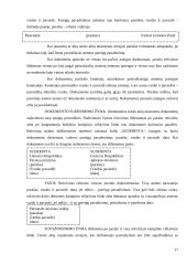 Atostogų įsakymai – darbuotojų teises ir pareigas įteisinantys dokumentai 16 puslapis