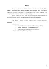 Atostogų įsakymai – darbuotojų teises ir pareigas įteisinantys dokumentai 2 puslapis