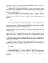 Valdymo praktika: medinių skydinių-karkasinių namų gamyba UAB "Saldymedis" 11 puslapis