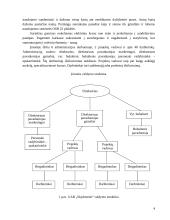 Valdymo praktika: medinių skydinių-karkasinių namų gamyba UAB "Saldymedis" 4 puslapis