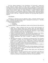 Valdymo praktika: medinių skydinių-karkasinių namų gamyba UAB "Saldymedis" 8 puslapis
