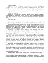 Valdymo praktika: medinių skydinių-karkasinių namų gamyba UAB "Saldymedis" 10 puslapis