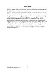 Senovės Egipto mokyklos 2 puslapis