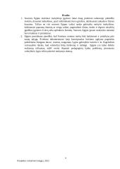 Senovės Egipto mokyklos 9 puslapis