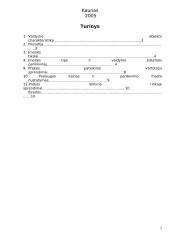 Valdymo sprendimai kuriant komunikavimo įtaisų pardavimo ir priežiūros įmonę 2 puslapis