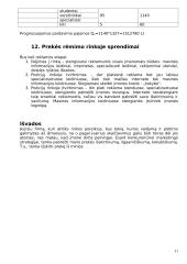 Valdymo sprendimai kuriant komunikavimo įtaisų pardavimo ir priežiūros įmonę 11 puslapis