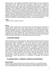 Valdymo sprendimai kuriant komunikavimo įtaisų pardavimo ir priežiūros įmonę 4 puslapis