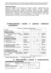 Valdymo sprendimai kuriant komunikavimo įtaisų pardavimo ir priežiūros įmonę 5 puslapis