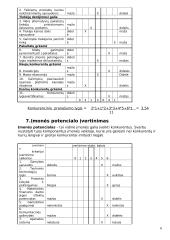 Valdymo sprendimai kuriant komunikavimo įtaisų pardavimo ir priežiūros įmonę 6 puslapis