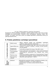 Valdymo sprendimai kuriant komunikavimo įtaisų pardavimo ir priežiūros įmonę 8 puslapis