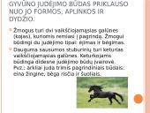 Judėjimas galūnėmis  4 puslapis