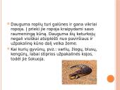 Judėjimas galūnėmis  5 puslapis