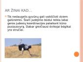 Judėjimas galūnėmis  7 puslapis