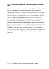 Valdymo sprendimų klasifikavimas 2 puslapis