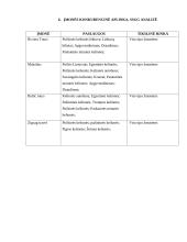 Kelionių agentūros praktikos ataskaita 11 puslapis