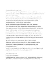 Kas žmogui teikia ramybę (rašinys) 2 puslapis