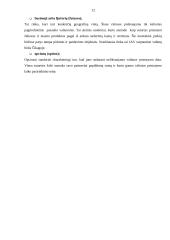 Valiutinės operacijos ir valiutų kursų rizikos valdymas 12 puslapis