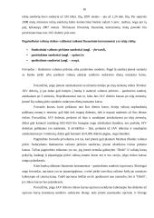 Valiutinės operacijos ir valiutų kursų rizikos valdymas 16 puslapis