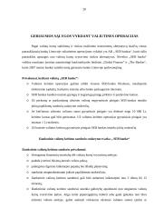 Valiutinės operacijos ir valiutų kursų rizikos valdymas 20 puslapis