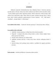 Valiutinės operacijos ir valiutų kursų rizikos valdymas 3 puslapis