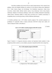 Valiutinės operacijos ir valiutų kursų rizikos valdymas 10 puslapis