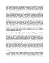 Kaip gyvenimas išbando žmogaus dvasinę stiprybę? (kalbėjimas) 2 puslapis