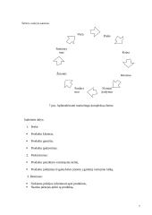 Valstybės marketingas ir valstybės prekės ženklas 7 puslapis