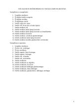 Inžinerinės geologijos laboratoriniai darbai 5 puslapis