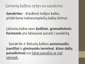 Kodėl lietuvių kalba svarbi indoeuropiečių kalbų šeimoje 3 puslapis
