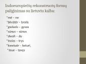 Kodėl lietuvių kalba svarbi indoeuropiečių kalbų šeimoje 7 puslapis