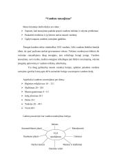 Vandens tausojimas 2 puslapis