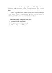 Vandens tausojimas 5 puslapis