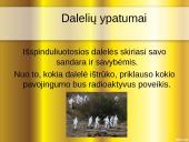Radioaktyvumas lygus radiacijai? 13 puslapis