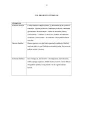 Vandens turizmo projektas "Žemyn upe" 11 puslapis