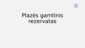 Plazės gamtinis rezervatas