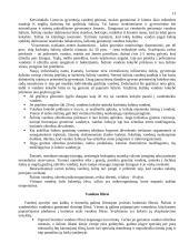 Vandens užterštumo problemos 13 puslapis